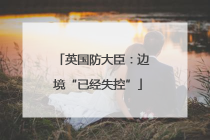 英国防大臣：边境“已经失控”