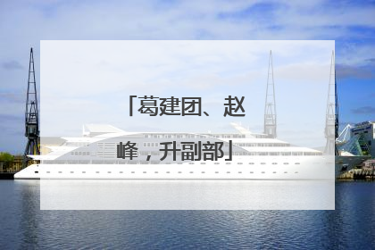 葛建团、赵峰，升副部