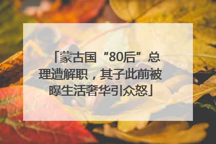 蒙古国“80后”总理遭解职，其子此前被曝生活奢华引众怒