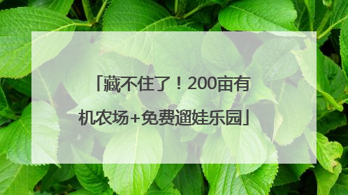 藏不住了！200亩有机农场+免费遛娃乐园