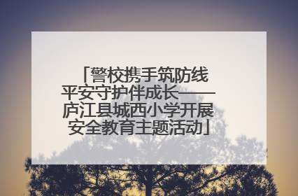 警校携手筑防线 平安守护伴成长——庐江县城西小学开展安全教育主题活动