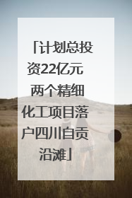 计划总投资22亿元 两个精细化工项目落户四川自贡沿滩