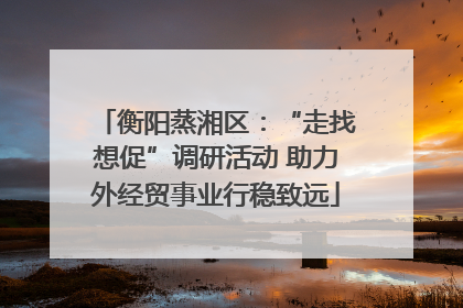 衡阳蒸湘区：“走找想促”调研活动 助力外经贸事业行稳致远