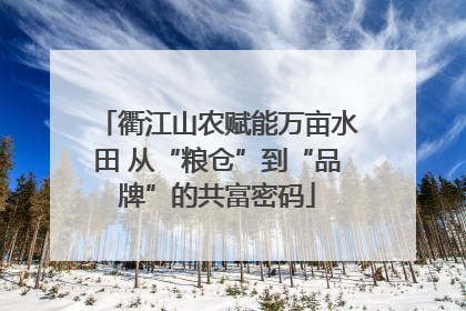衢江山农赋能万亩水田 从“粮仓”到“品牌”的共富密码