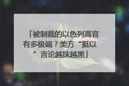 被制裁的以色列高官有多极端？美方“挺以”言论越抹越黑