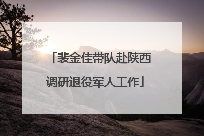 裴金佳带队赴陕西调研退役军人工作