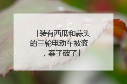 装有西瓜和蒜头的三轮电动车被盗，案子破了