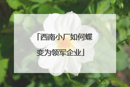 西南小厂如何蝶变为领军企业