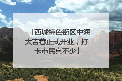 西城特色街区中海大吉巷正式开业，打卡市民真不少