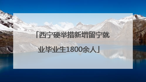 西宁硬举措新增留宁就业毕业生1800余人