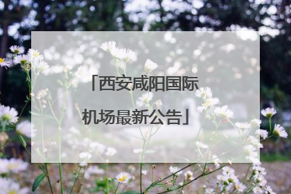 西安咸阳国际机场最新公告