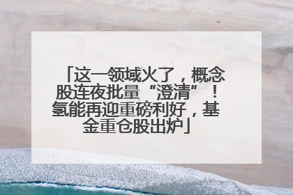 这一领域火了，概念股连夜批量“澄清”！氢能再迎重磅利好，基金重仓股出炉