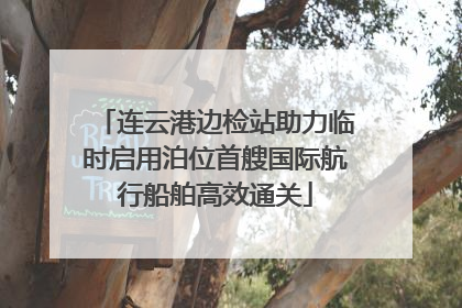 连云港边检站助力临时启用泊位首艘国际航行船舶高效通关