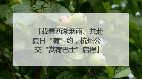 载着西湖烟雨、共赴夏日“荷”约，杭州公交“赏荷巴士”启程