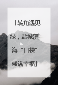 转角遇见绿，盐城滨海“口袋”盛满幸福