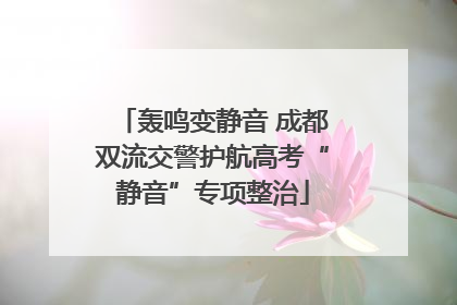 轰鸣变静音 成都双流交警护航高考“静音”专项整治