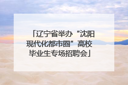 辽宁省举办“沈阳现代化都市圈”高校毕业生专场招聘会