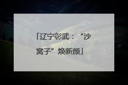 辽宁彰武：“沙窝子”焕新颜