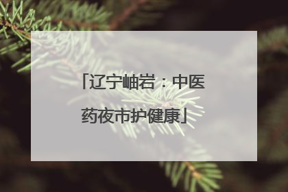 辽宁岫岩：中医药夜市护健康
