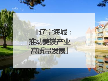 辽宁海城：推动菱镁产业高质量发展