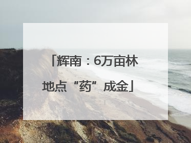 辉南：6万亩林地点“药”成金