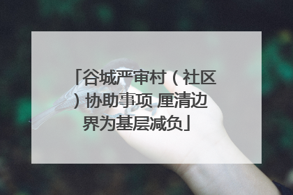 谷城严审村（社区）协助事项 厘清边界为基层减负