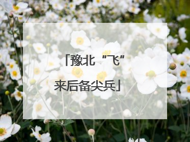 豫北“飞”来后备尖兵