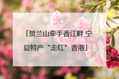 贺兰山牵手香江畔 宁夏特产“走红”香港