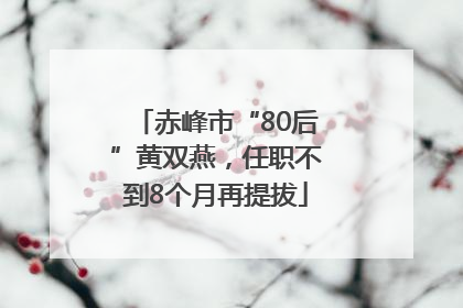 赤峰市“80后”黄双燕，任职不到8个月再提拔
