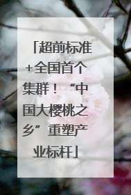 超前标准+全国首个集群！“中国大樱桃之乡”重塑产业标杆