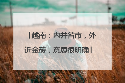 越南：内并省市，外近金砖，意思很明确