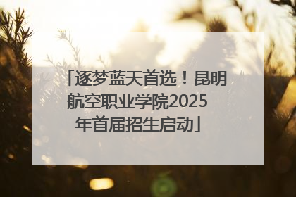 逐梦蓝天首选！昆明航空职业学院2025年首届招生启动