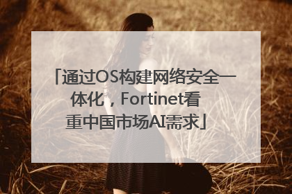 通过OS构建网络安全一体化，Fortinet看重中国市场AI需求