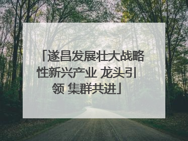 遂昌发展壮大战略性新兴产业 龙头引领 集群共进