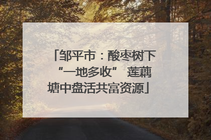 邹平市：酸枣树下“一地多收” 莲藕塘中盘活共富资源