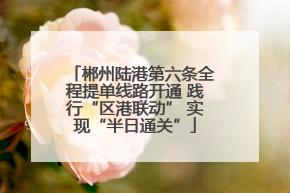 郴州陆港第六条全程提单线路开通 践行“区港联动” 实现“半日通关”