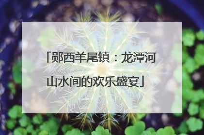 郧西羊尾镇：龙潭河山水间的欢乐盛宴