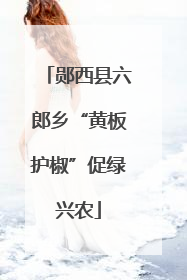 郧西县六郎乡“黄板护椒”促绿兴农