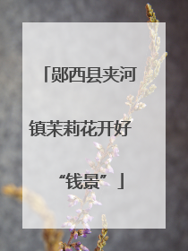 郧西县夹河镇茉莉花开好“钱景”