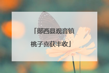 郧西县观音镇桃子喜获丰收