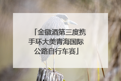 金徽酒第三度携手环大美青海国际公路自行车赛