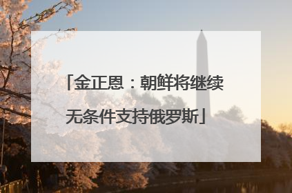 金正恩：朝鲜将继续无条件支持俄罗斯