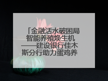 金融活水破困局 智能养殖焕生机——建设银行佳木斯分行助力蛋鸡养殖突围