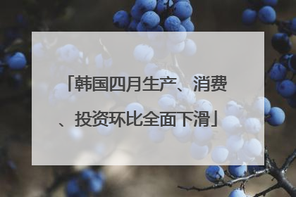 韩国四月生产、消费、投资环比全面下滑