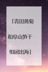青田黄菊和阜山笋干组团出海