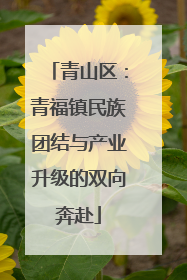 青山区：青福镇民族团结与产业升级的双向奔赴