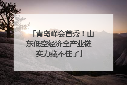 青岛峰会首秀！山东低空经济全产业链实力藏不住了