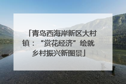 青岛西海岸新区大村镇：“赏花经济”绘就乡村振兴新图景