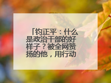 钧正平：什么是政治干部的好样子？被全网赞扬的他，用行动作出了回答