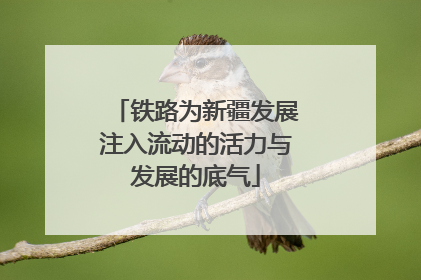 铁路为新疆发展注入流动的活力与发展的底气